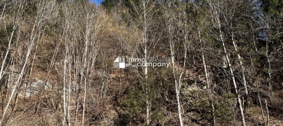 Коммерческая недвижимость в Хюттенберг, Австрия № 49091 3