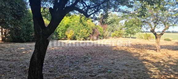 4 bedrooms Villa in San Giorgio Piacentino, Italy No. 302997 45