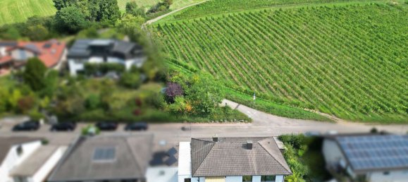 7 rooms Townhouse in Rhein-Neckar-Kreis, Germany No. 368390 5