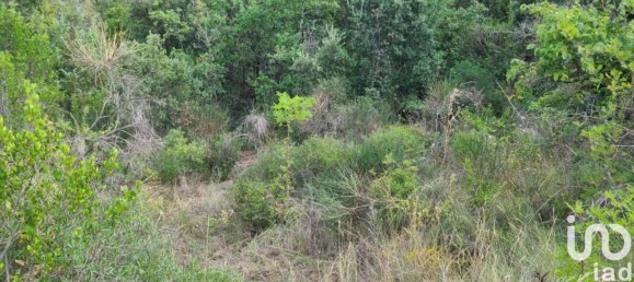 Земельный участок в Окситания, Франция № 343990 2