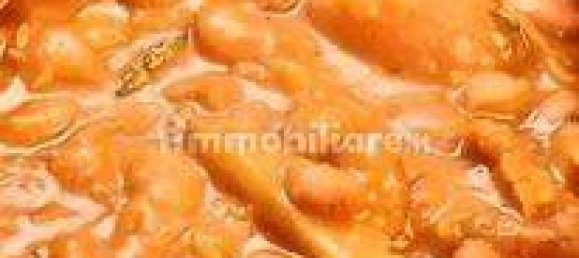 5 rooms Commercial property in Parma, Italy No. 104361 18