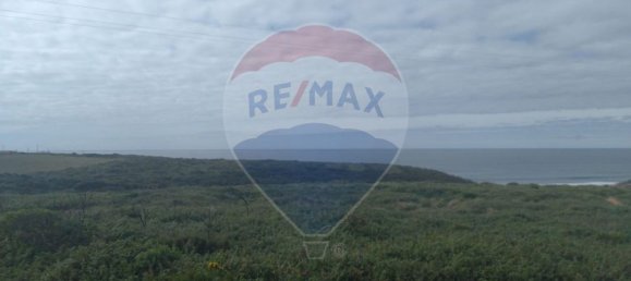 Terreno em Sintra, Portugal 5000 m² N.º 67304 15