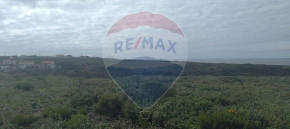 Terreno em Sintra, Portugal 5000 m² N.º 67304 7