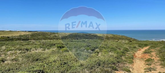 Terreno em Sintra, Portugal 5000 m² N.º 67304 2