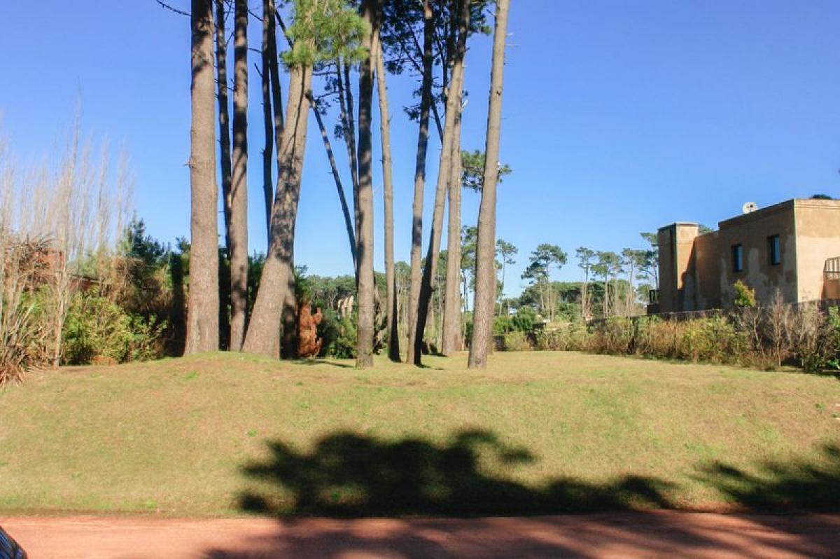  قطعة أرض في Maldonado, Uruguay رقم 14270