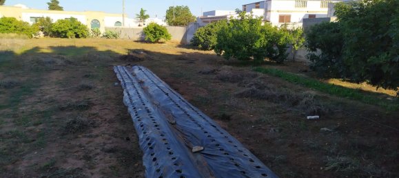 Grundstück in Taviano, Italy 507m², Nr. 254803 3