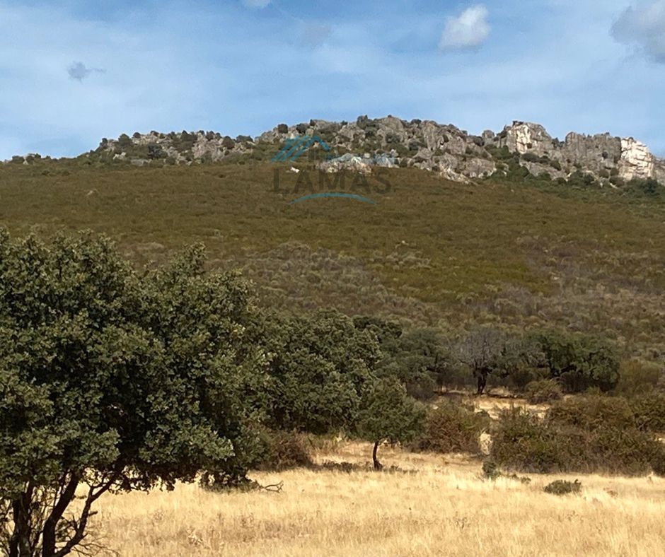 640000m² Land in Caceres, Spain No. 253105