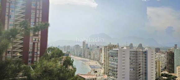 1 bedroom Apartment in Benidorm, Spain No. 144088 21