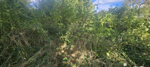 Terreno en Yonne, France 1263 m² No. 316603 4