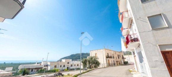 1 bedroom Penthouse in Mattinata, Italy No. 131158 13