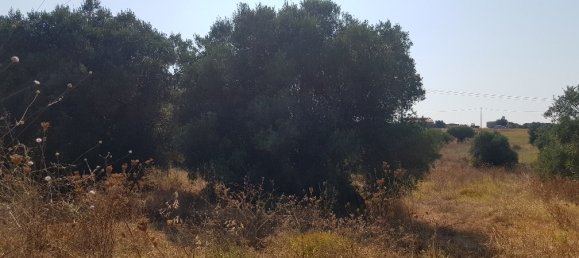 3255m² Hotel in Chalkidiki, Greece No. 4115 7