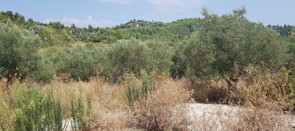 فندق في Chalkidiki, Greece 3255متر مربع رقم 4115 5