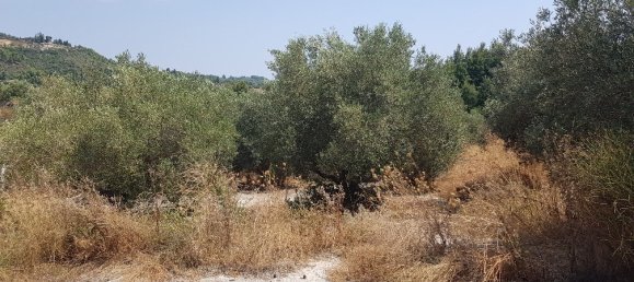 3255m² Hotel in Chalkidiki, Greece No. 4115 4