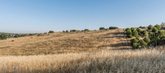  Land in Navalcarnero, Spain No. 113246 43