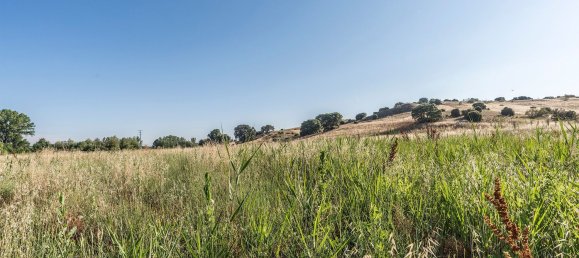  Land in Navalcarnero, Spain No. 113246 42