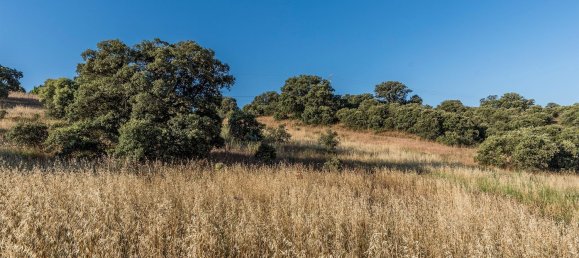  Land in Navalcarnero, Spain No. 113246 17