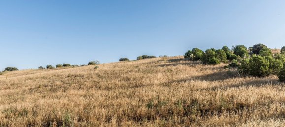  Land in Navalcarnero, Spain No. 113246 19