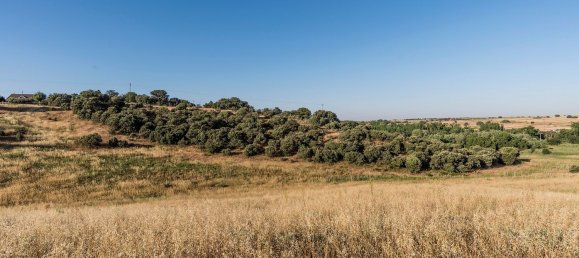  Land in Navalcarnero, Spain No. 113246 34