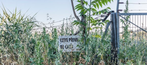  Land in Navalcarnero, Spain No. 113246 2