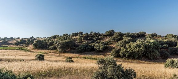  Land in Navalcarnero, Spain No. 113246 29