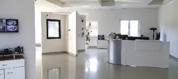 Коммерческая недвижимость 600м² в Пишельсдорф ам Кульм, Австрия № 141648 9