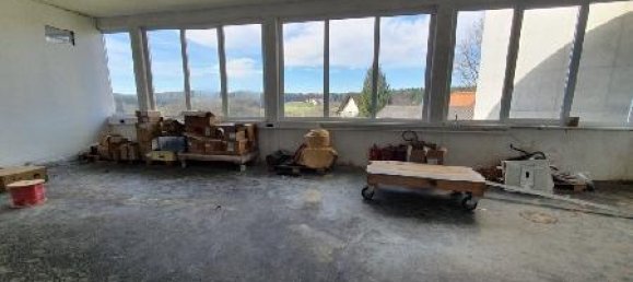 Коммерческая недвижимость 600м² в Пишельсдорф ам Кульм, Австрия № 141648 17