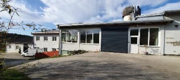 Коммерческая недвижимость 600м² в Пишельсдорф ам Кульм, Австрия № 141648 4