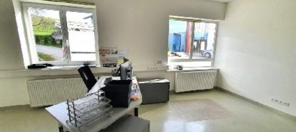 Коммерческая недвижимость 600м² в Пишельсдорф ам Кульм, Австрия № 141648 13