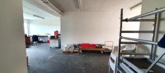 Коммерческая недвижимость 600м² в Пишельсдорф ам Кульм, Австрия № 141648 16