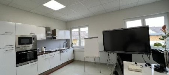 Коммерческая недвижимость 600м² в Пишельсдорф ам Кульм, Австрия № 141648 11