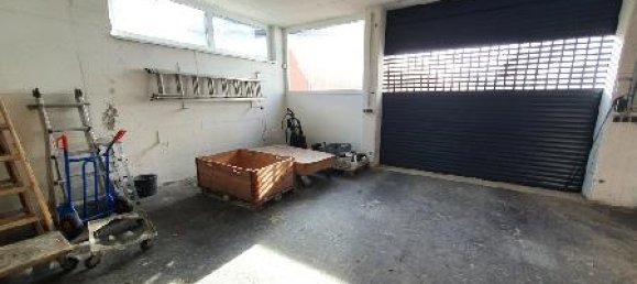 Коммерческая недвижимость 600м² в Пишельсдорф ам Кульм, Австрия № 141648 14