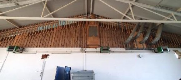 Коммерческая недвижимость 600м² в Пишельсдорф ам Кульм, Австрия № 141648 18