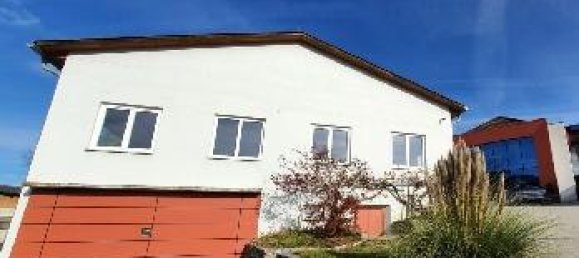 Коммерческая недвижимость 600м² в Пишельсдорф ам Кульм, Австрия № 141648 2