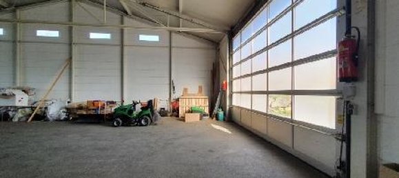 Коммерческая недвижимость 600м² в Пишельсдорф ам Кульм, Австрия № 141648 20