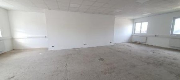 Коммерческая недвижимость 600м² в Пишельсдорф ам Кульм, Австрия № 141648 21