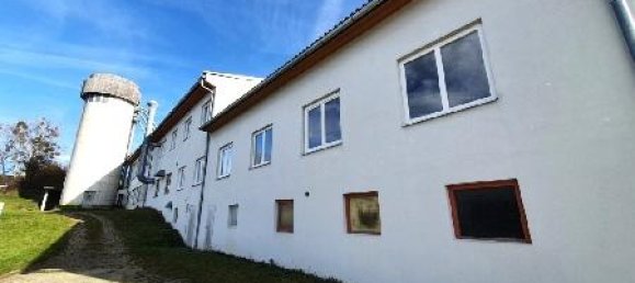 Коммерческая недвижимость 600м² в Пишельсдорф ам Кульм, Австрия № 141648 6