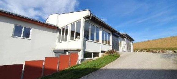 Коммерческая недвижимость 600м² в Пишельсдорф ам Кульм, Австрия № 141648 3