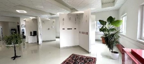 Коммерческая недвижимость 600м² в Пишельсдорф ам Кульм, Австрия № 141648 8