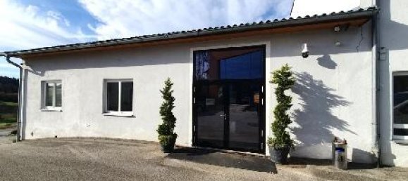 Коммерческая недвижимость 600м² в Пишельсдорф ам Кульм, Австрия № 141648 7