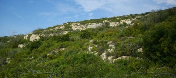 Terreno em Zakynthos, Greece N.º 815 3