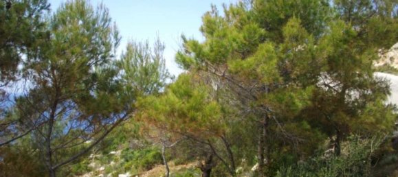 Terreno em Zakynthos, Greece N.º 815 5