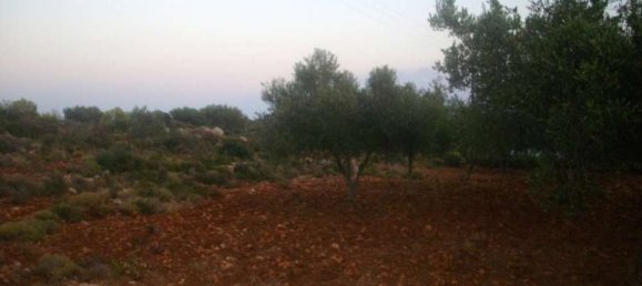 Terreno em Zakynthos, Greece N.º 815 6