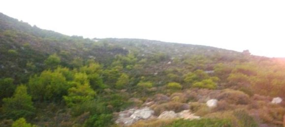 Terreno em Zakynthos, Greece N.º 815 8