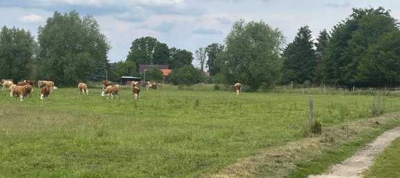 Terreno em Oder-Spree, Germany 2342 m² N.º 294945 3