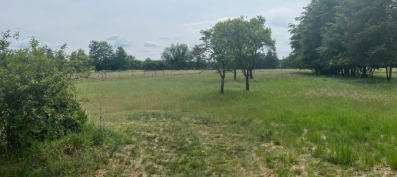 Terreno em Oder-Spree, Germany 2342 m² N.º 294945 5