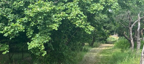 Terreno em Oder-Spree, Germany 2342 m² N.º 294945 4