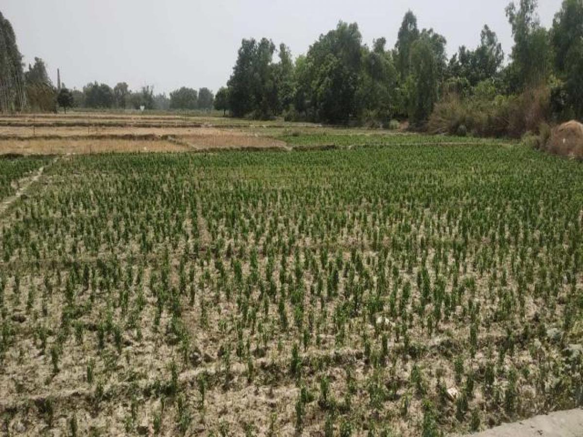  Land in Lucknow, India No. 34456