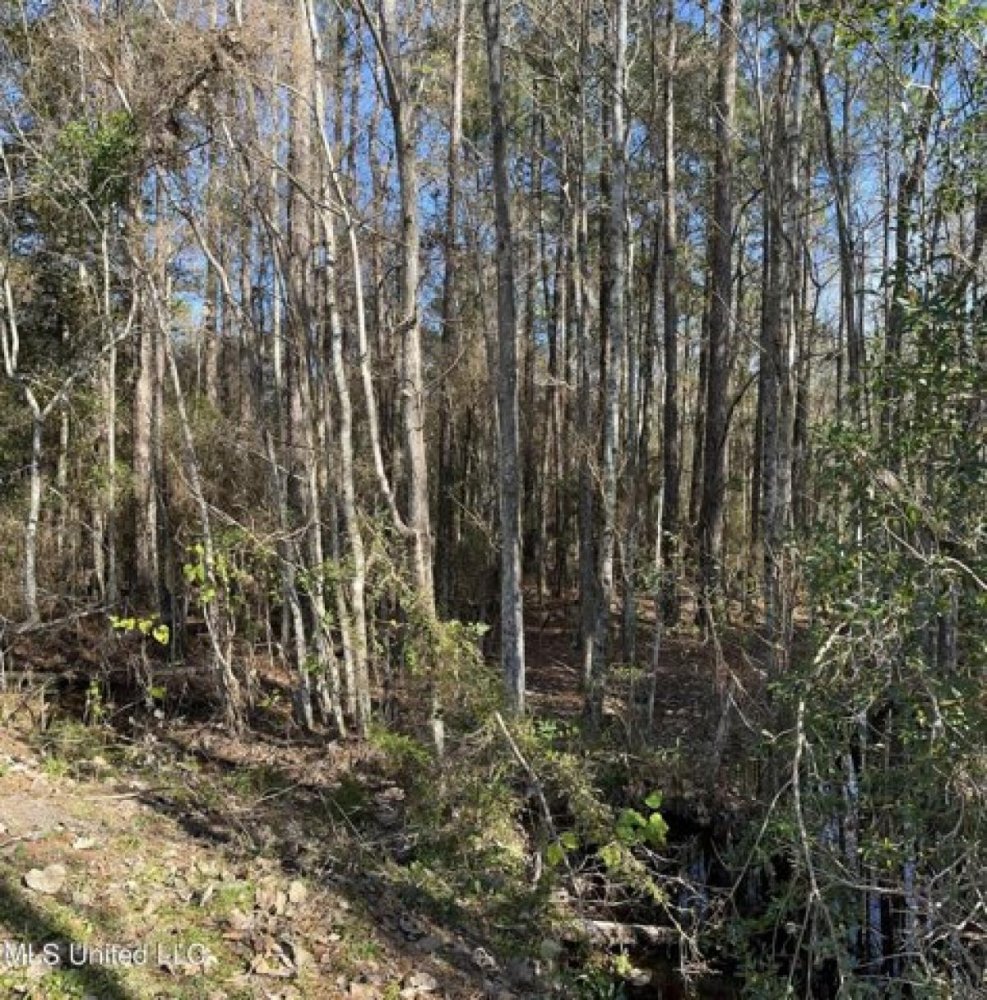  Land in Picayune, USA No. 476294