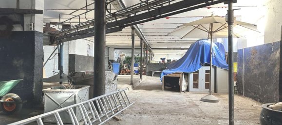 4 Schlafzimmer Bauernhof in Viersen, Germany, Nr. 152691 50