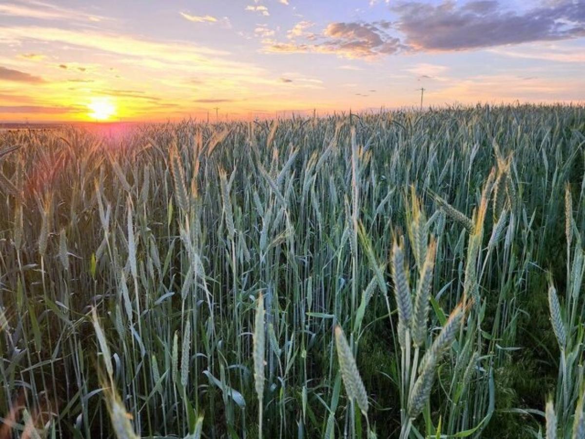  Land in Akron, USA No. 474108